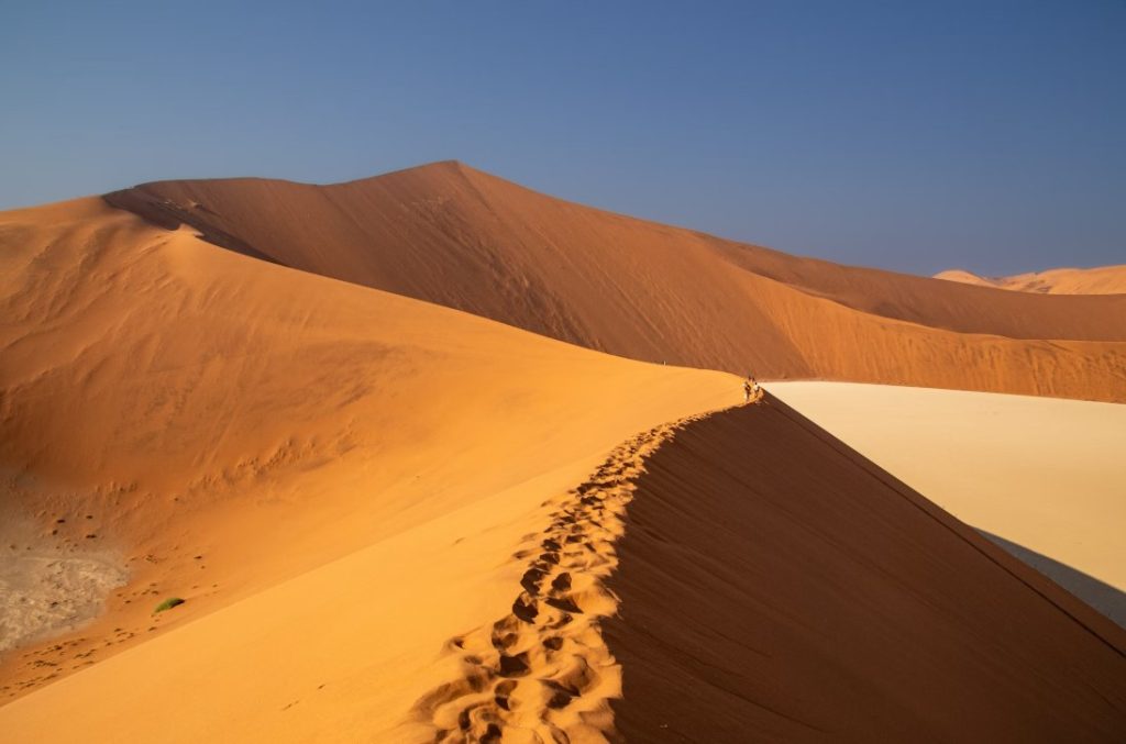 which African country is best for safaris?