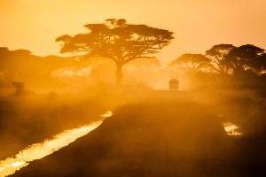 what vaccinations do I need for safari