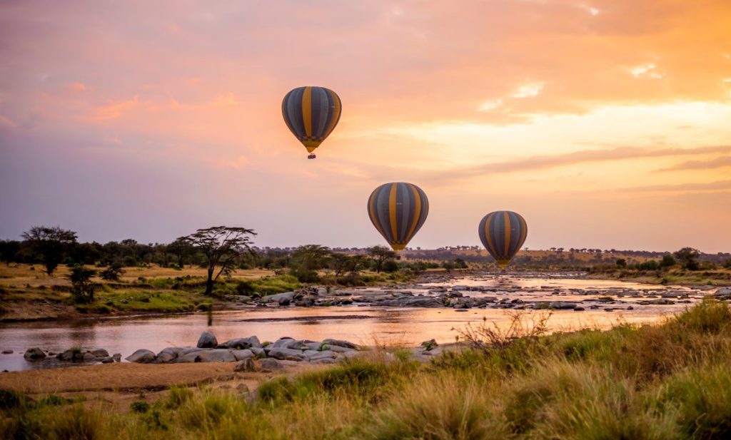 Africa Safari