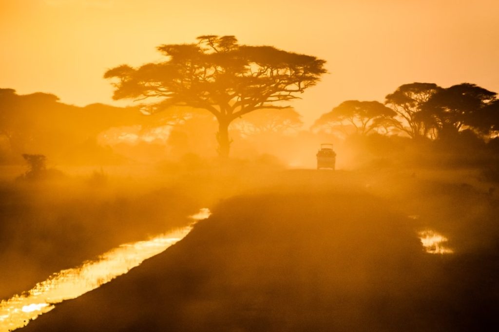 What is a Camping Safari?