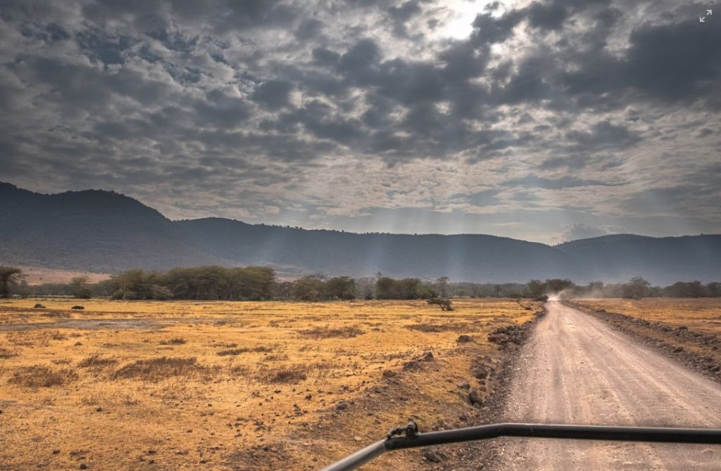 Is Kenya or Tanzania Better for Safari?